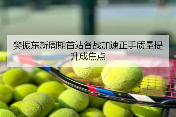 樊振东新周期首站备战加速正手质量提升成焦点