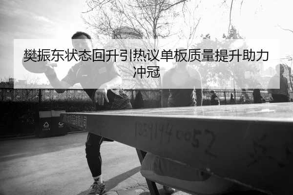 樊振东状态回升引热议单板质量提升助力冲冠